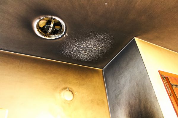 Smoke Damage Removal in Woodinville